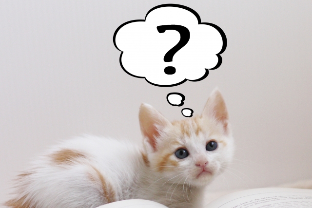 faq　履歴書