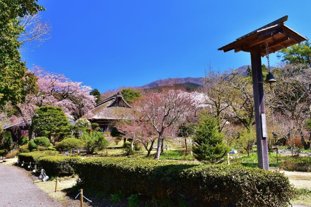 和風庭園