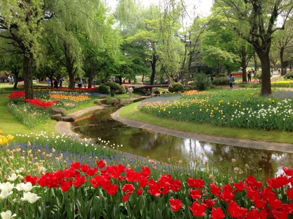 洋風バラ園