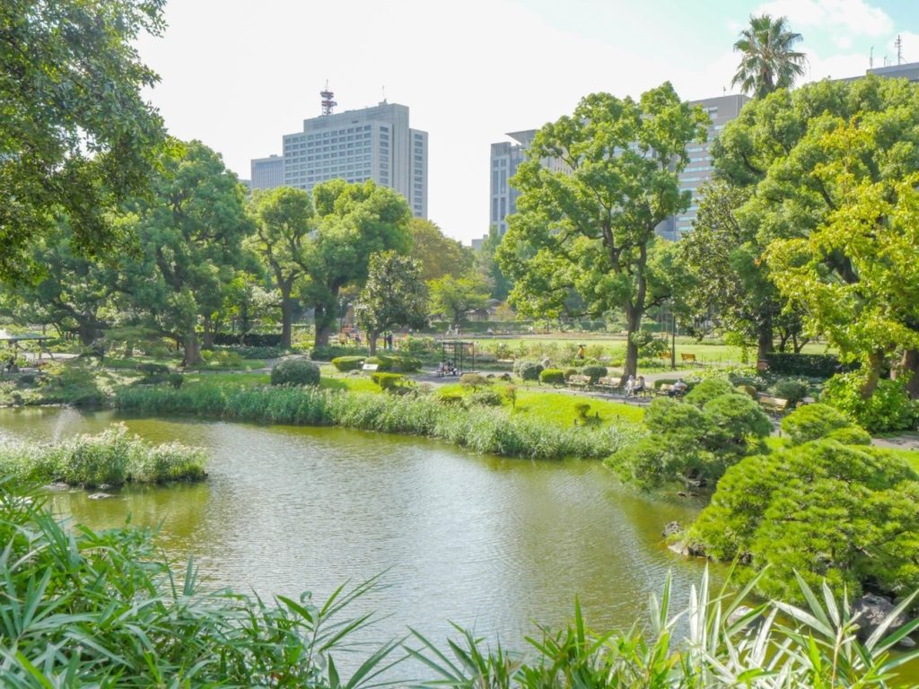 公園と池